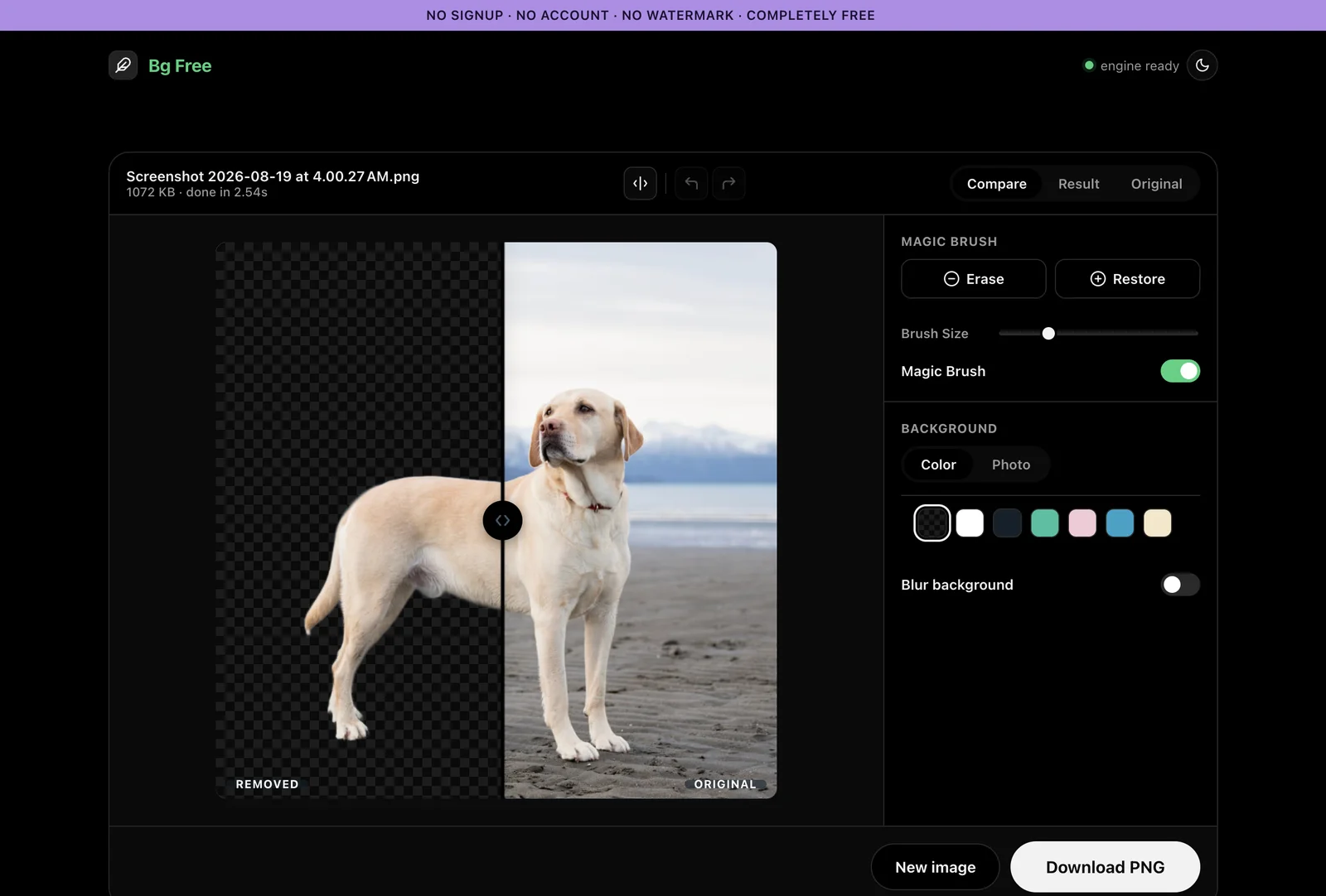 Bg Free background remover project preview