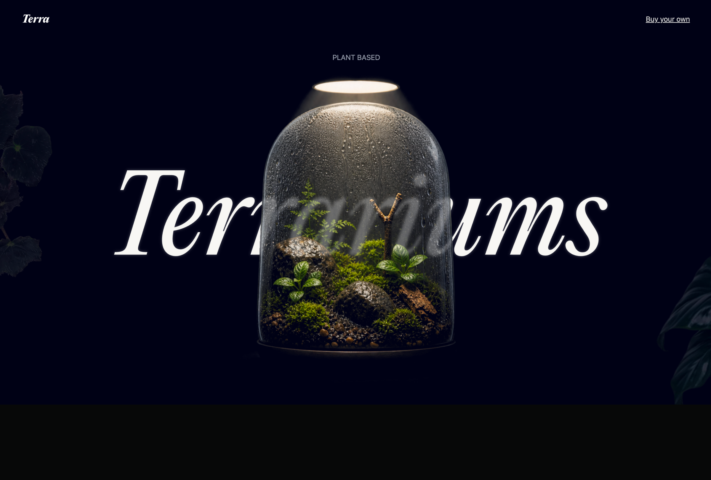 Terrarium project preview