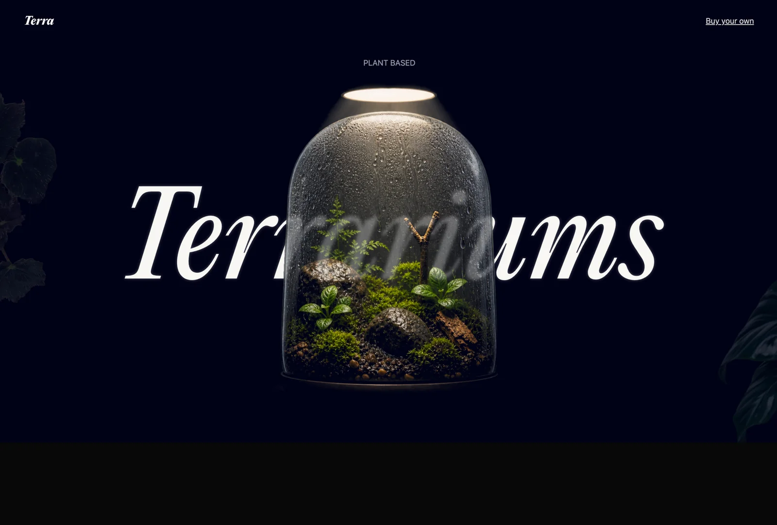 Terrarium project preview